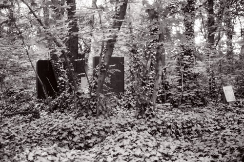The New Jewish Cemetery, Prague, 1990 or 1991, photo credit Caleb Crain