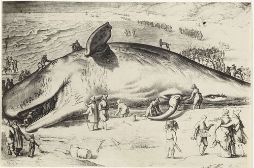 Jacob Matham, 'Gestrande walvis bij Wijk aan Zee, 1601,' Rijksmuseum