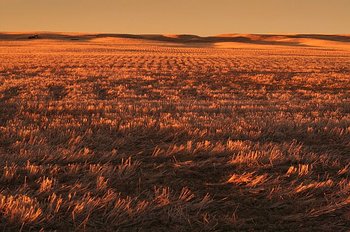 917954409505_0_bg