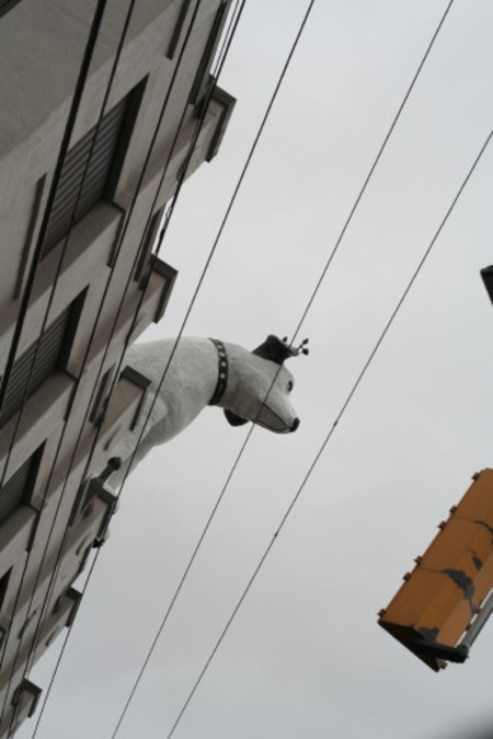 Img_0714 Img_0714