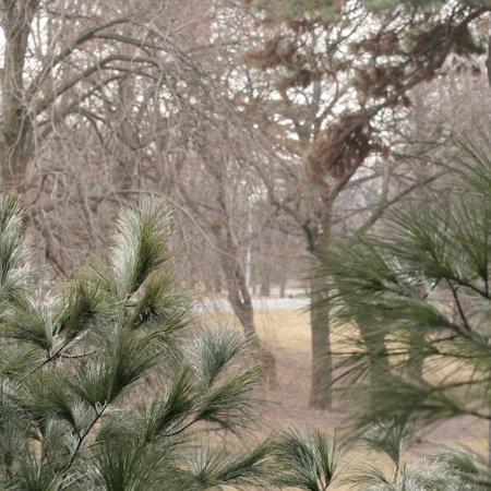 Intherigging Intherigging